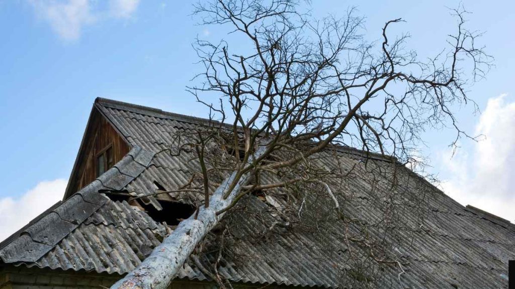 Storm Éowyn Power Outages